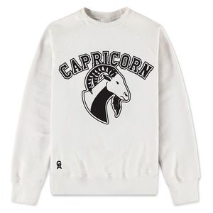 ISO Capricorn Sweater